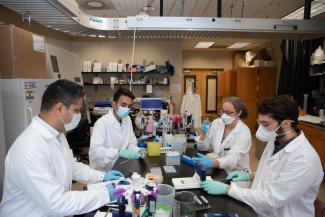 lab team